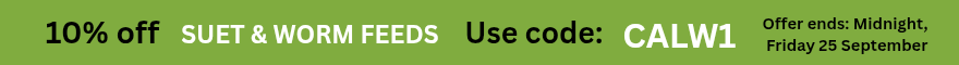 Discount offer banner image